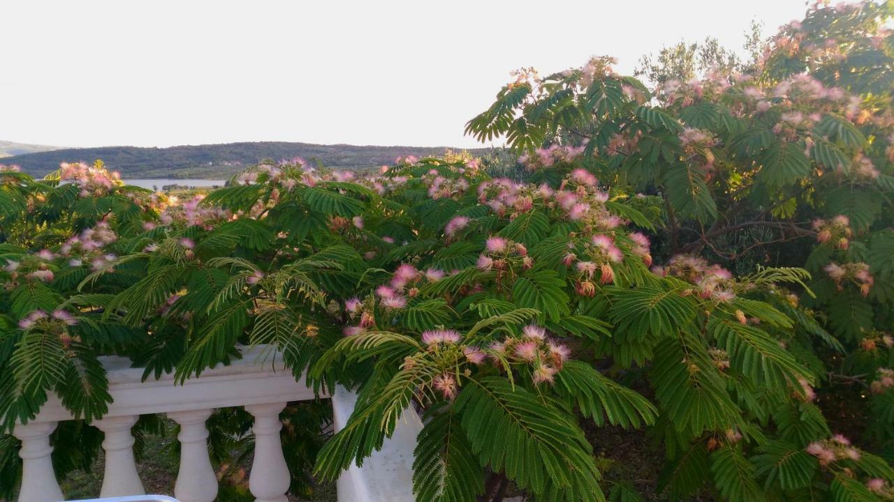 Вилла The Garden Of Elais Шибеник Экстерьер фото
